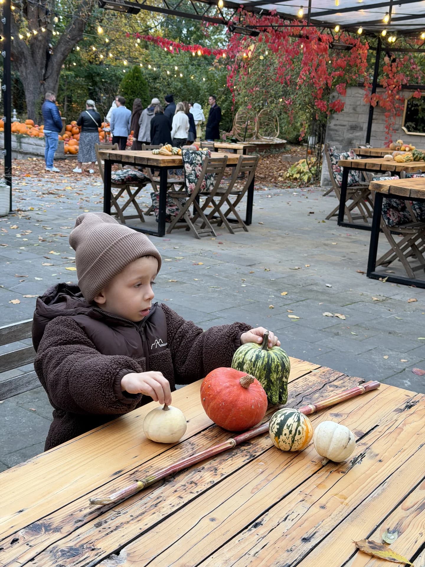 Marek i Tajemnica Pomarańczowej Krainy